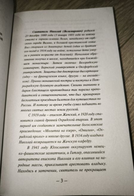Беседы на Евангелие. В двух книгах (Ника) (Святитель Николай Сербский (Велимирович))