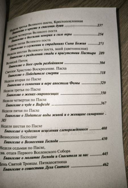 Беседы на Евангелие. В двух книгах (Ника) (Святитель Николай Сербский (Велимирович))