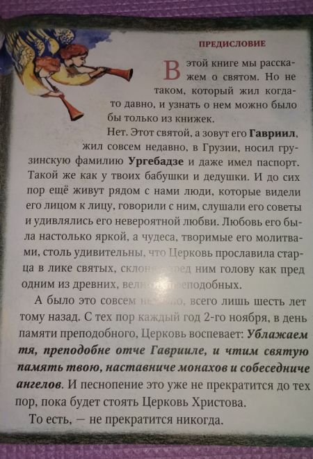 Незримый заступник. Расскзы для детей о старце Гаврииле (Ургебадзе) (Терирем)