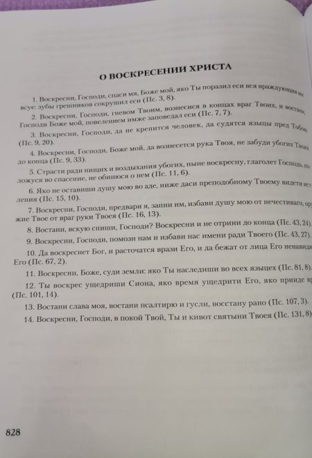 Псалтирь с толкованиями. На церковно-славянском языке, крупный шрифт (Сибирская Благозвонница)