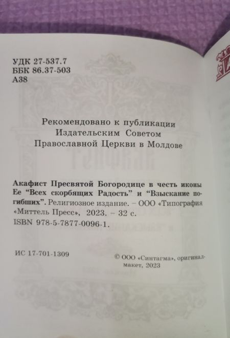 Акафист Пресвятой Богородице в честь иконы Её Всех скорбящих Радость и Взыскание погибших (Синтагма)