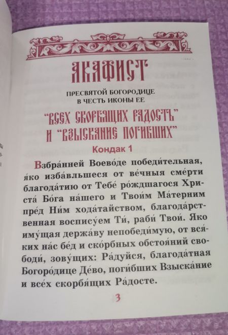 Акафист Пресвятой Богородице в честь иконы Её Всех скорбящих Радость и Взыскание погибших (Синтагма)