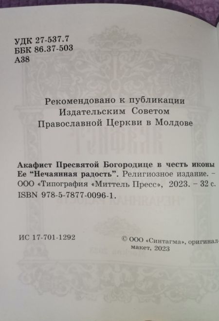 Акафист Пресвятой Богородице в честь иконы Её Нечаянная Радость (Синтагма)