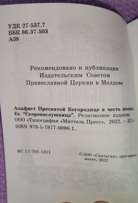 Акафист Пресвятой Богородице в честь иконы Её Скоропослушница (Синтагма)