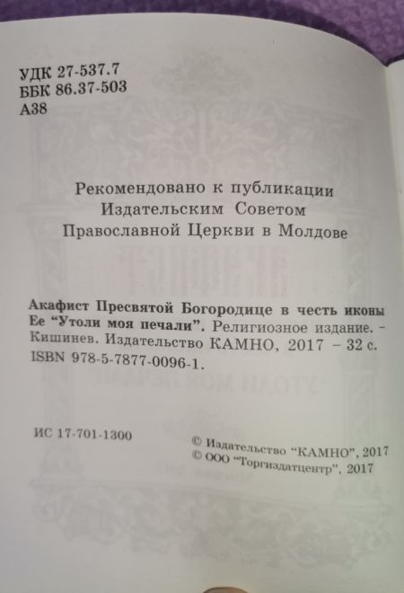 Акафист Пресвятой Богородице в честь иконы Её Утоли моя печали (Синтагма)