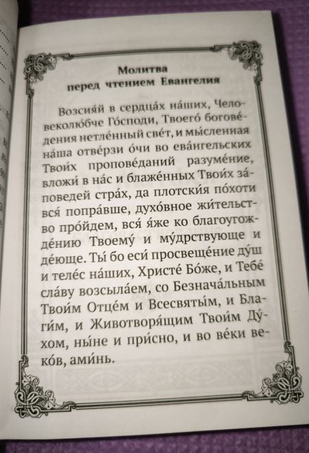 Новый Завет с выделенными словами Спасителя (Богослов)