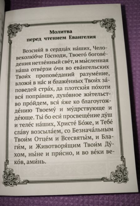 Новый Завет с выделенными словами Спасителя (Богослов)