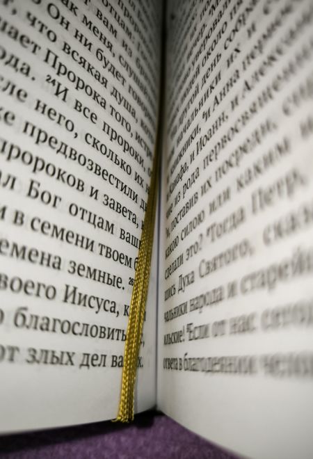 Новый Завет с выделенными словами Спасителя (Богослов)