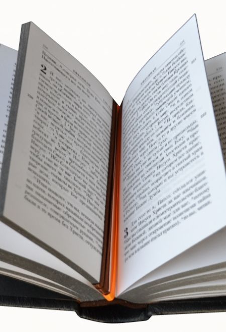 Новый Завет. Псалтирь. Молитвослов (кожа) (Покровский ставропигиальный женский монастырь)