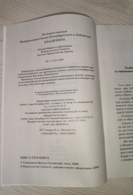 Православное воспитание мальчиков переходного возраста (советы священника) (Сатисъ) (Священник Виктор Грозовский)