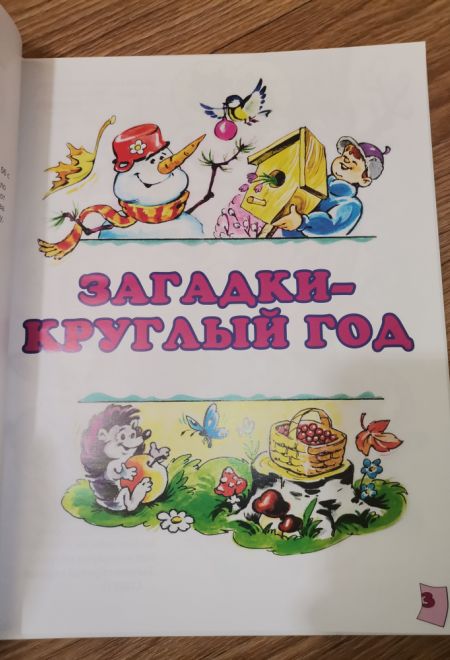 Самая загадочная книга. Загадки круглый год. Подарочная детская (Троица) (Борисов Владимир)