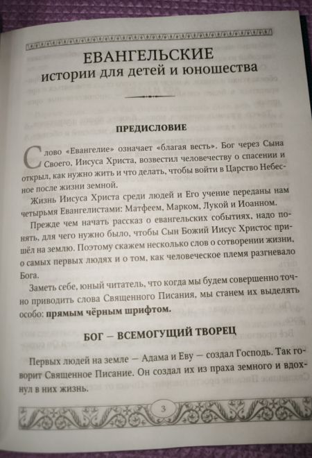 Евангелие для детей. Священная история в простых рассказах для чтения в школе и дома (Худошин Александр Степанович)