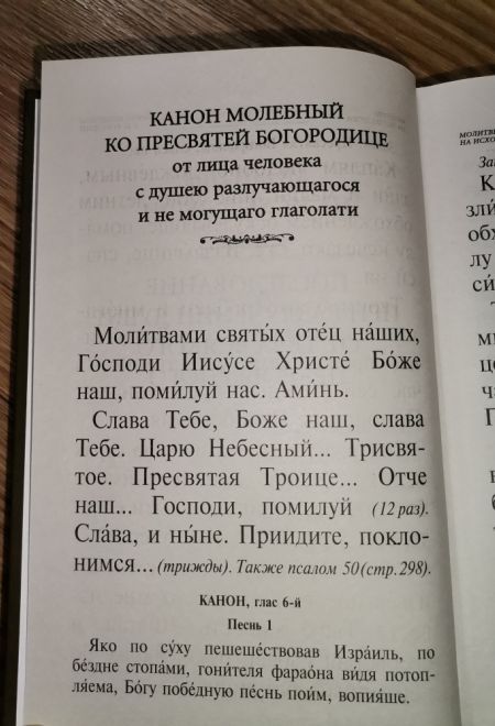 Псалтирь и каноны по усопшим для слабовидящих (Оранта/Терирем) (Худошин Александр)
