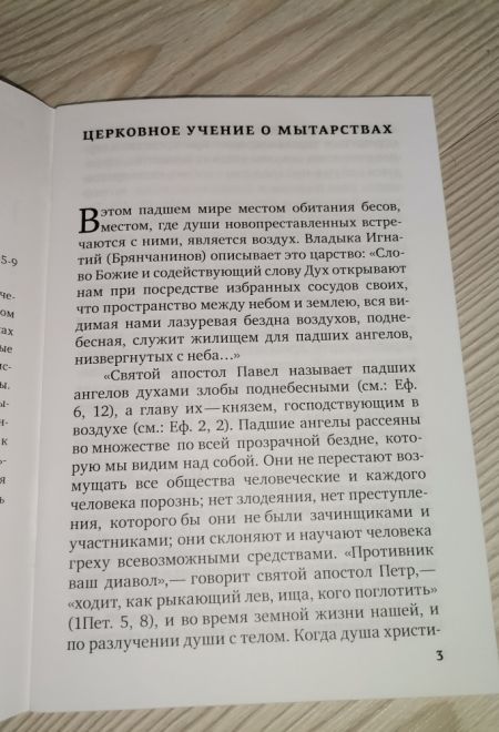 Мытарства Блаженной Феодоры (Светточ)