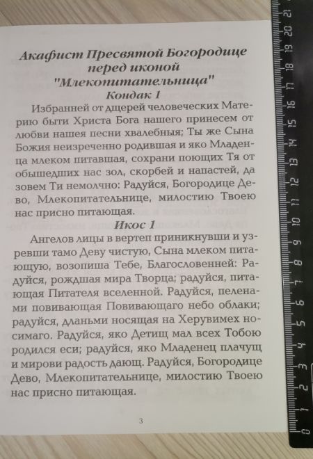 Акафист Пресвятой Богородице перед иконой Млекопитательница (Пересвет)