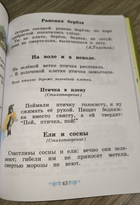 Букварь для совместного обучения письму, русскому и церковнославянскому чтению и счету. Для народных (Лучи Софии) (Тихомиров Дмитрий И., Тихомирова Ел