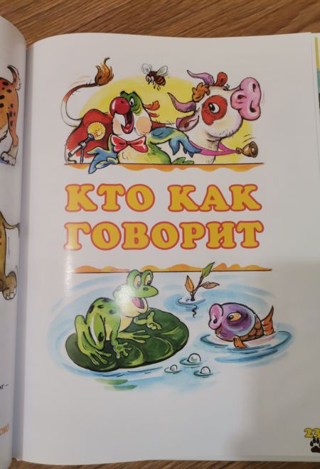 Самая загадочная книга. Подарочная детская (Троица) (Борисов Владимир)