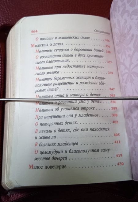Молитвослов крупным шрифтом православный. На молнии, кожа, золотой обрез, цвет бордовый (Терирем)
