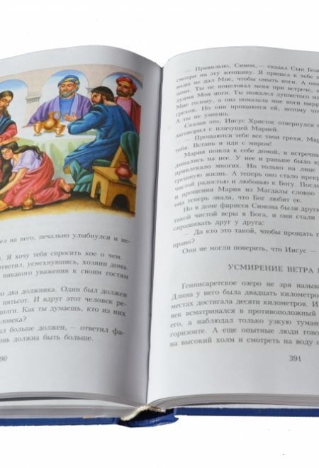 Иллюстрированная Библия для семейного чтения (Золотой век) (Воскобойников Валерий М.)
